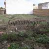 El puerto, Finca para promoción