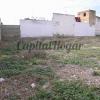 El puerto, Finca para promoción